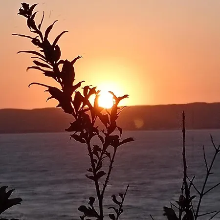 Casa Accogliente E A Due Passi Dal Mare Calasetta